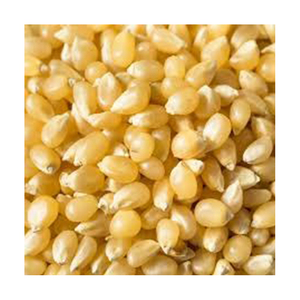 เมล็ดข้าวโพดหวานสีเหลืองวัสดุที่ดีที่สุดสำหรับการแข่งขันอาหารสัตว์ - Product Image 4