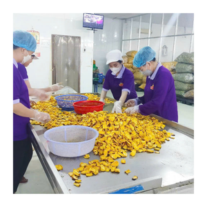 ขนมกรอบขนุนแห้งแบบสุญญากาศของทอดกลิ่นหอมเขตร้อนแบบพรีเมียมจากเวียดนาม - Product Image 6