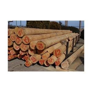 Strong square <b>logs</b> available for wholesale trade and industrial timber projects - Product Image 4