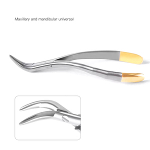 SAAR GLOBAL SURGICAL INSTRUMENTS Pinzas de Extracción Dental Mandibulares de Acero Inoxidable con Empuñadura Manual Moleteada Clase I para Adultos y Niños - Product Image 4