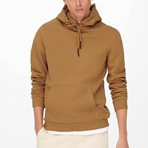 ODM OEM Men Winter 350g Fleece Cotton 45 Colors Hoodie Unisex Pullover Sweatshirt Dgt Printing Embroidery Plain Men Blank Hoodie - Product Image 3