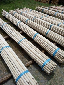 Ratán crudo en gran cantidad, ratán natural utilizado para muebles, tomado directamente del proveedor vietnamita barato Bao Tram Anh - Product Image 2