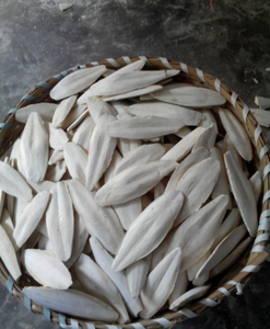 100% os de seiche naturel du Vietnam | Source de calcium de qualité supérieure pour animaux de compagnie - Product Image 3