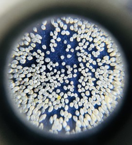 Abrasifs de diamant naturel de qualité supérieure haute performance classement personnalisé 16/18 60/80 tailles de mailles forage de noyau médias de dynamitage - Product Image 5