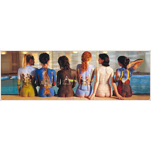 Póster de Pink Floyd con ilustraciones de 6 chicas pintadas con técnicas de impresión digital - Product Image 1