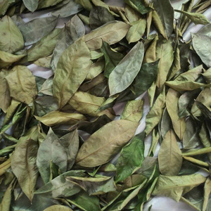 Wholesale Soursop Leaves Dried Graviola Leaf <b>Tea</b> Ingredient For Global Export Supply - Product Image 1