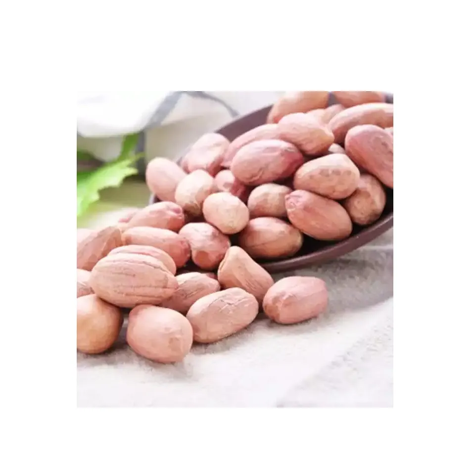 Bulk Raw Peanuts - High Quality Raw Peanuts in shell - - Raw Ground nuts Raw Peanuts peanut Roasted Raw Ground nuts