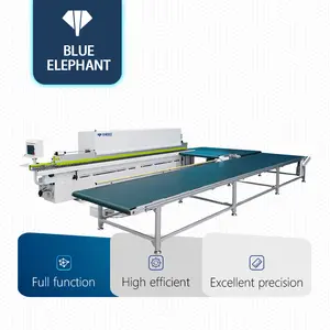 Hoge Niveau Blauwe Olifant Houtbewerking C En C Automatische Kantenverlijmer Met Transportband Platforms Voor Verkoop In Mexico