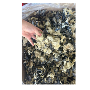 EXPORTATION DE GRANDES QUANTITÉS DE CHAMPIGNON EN BOIS DU VIETNAM À BAS PRIX - Product Image 1