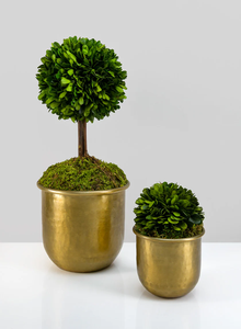 Pot d'arbre décoratif de table de bureau en métal pour le salon à la maison - Product Image 5