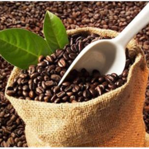 Grains de café Arabica brut du Vietnam 100% grains Arabica purs certifiés biologiques café lisse pas cher - Product Image 3