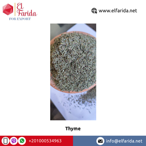 Approvisionnement Direct en usine, traitement à la vapeur de meilleure qualité, sans feuilles foncées, vente en gros de feuilles de thym vert pour l'exportation d'egypte - Product Image 6