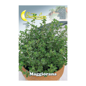 Semi Orto Maggiorana - Product Image 1