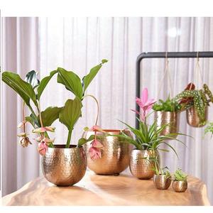 Jardinière de sol de style traditionnel, jardinière de sol artisanale, utilisation à domicile et dans les restaurants, extérieur - Product Image 5