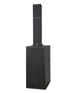 5.5 inch column speaker with active/passive dual 12 inch subwoofer mini line array loudspeaker sound system