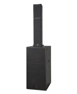 Altoparlante a colonna da 5.5 pollici con doppio subwoofer attivo/passivo da 12 pollici mini line array sistema audio per altoparlanti