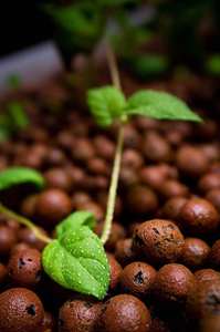 <b>Clay</b> <b>Balls</b> Light Breathable Insulation Planting Gardening Ceramsite <b>Ball</b> Agriculture Expanded Pure <b>Clay</b> <b>Balls</b> for Planters 15 Kg - Product Image 4