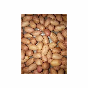 Premium Discounts Sale Blanched Organic <b>Peanut</b> Kernels Ground Nuts Raw Organic Shelled Dried Wholesale <b>Peanut</b> Nuts Blanched - Product Image 2
