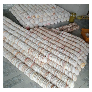 Vente en gros de coquilles Saint-Jacques durables pour bougeoirs et décor de plage - Product Image 4