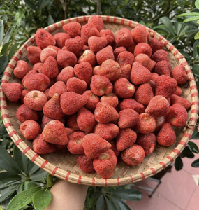 สตรอว์เบอร์รีอบแห้งจากเวียดนาม ผลิตจากชิ้นสตรอว์เบอร์รีธรรมชาติ สำหรับใช้ในเบเกอรี่ ผสมเครื่องดื่ม และขายส่ง - Product Image 6