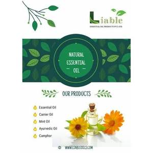 น้ำมันสกัดเย็นจากเมล็ดเฮเซลนัท น้ำมันอโลเวร่า น้ำมันอะโวคาโด น้ำมันอาร์แกน น้ำมันมะพร้าว น้ำมันหอมระเหย น้ำมันพื้นฐานจากสารสกัดจากเมล็ด - Product Image 4