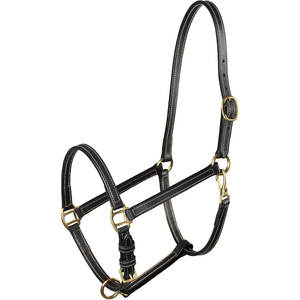 Fremont Fully Adjustable Black Cob Size <b>Horse</b> Halter Soft Synthetic Leather with Durable <b>Brass</b> Hardware & Contrast Stitching - Product Image 3