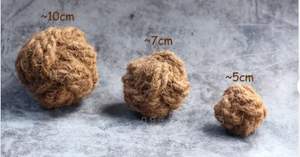 ลูกบอลใยมะพร้าว/ของเล่นรูปมะพร้าวสำหรับสุนัขจากเวียดนามมี3ขนาดพร้อมราคาไม่แพง - Product Image 6