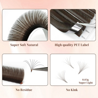 Boîtes personnalisées, brun foncé, cils individuels à éventail facile, cils synthétiques, cheveux naturels, longs, premium, méga volume, extensions de cils
