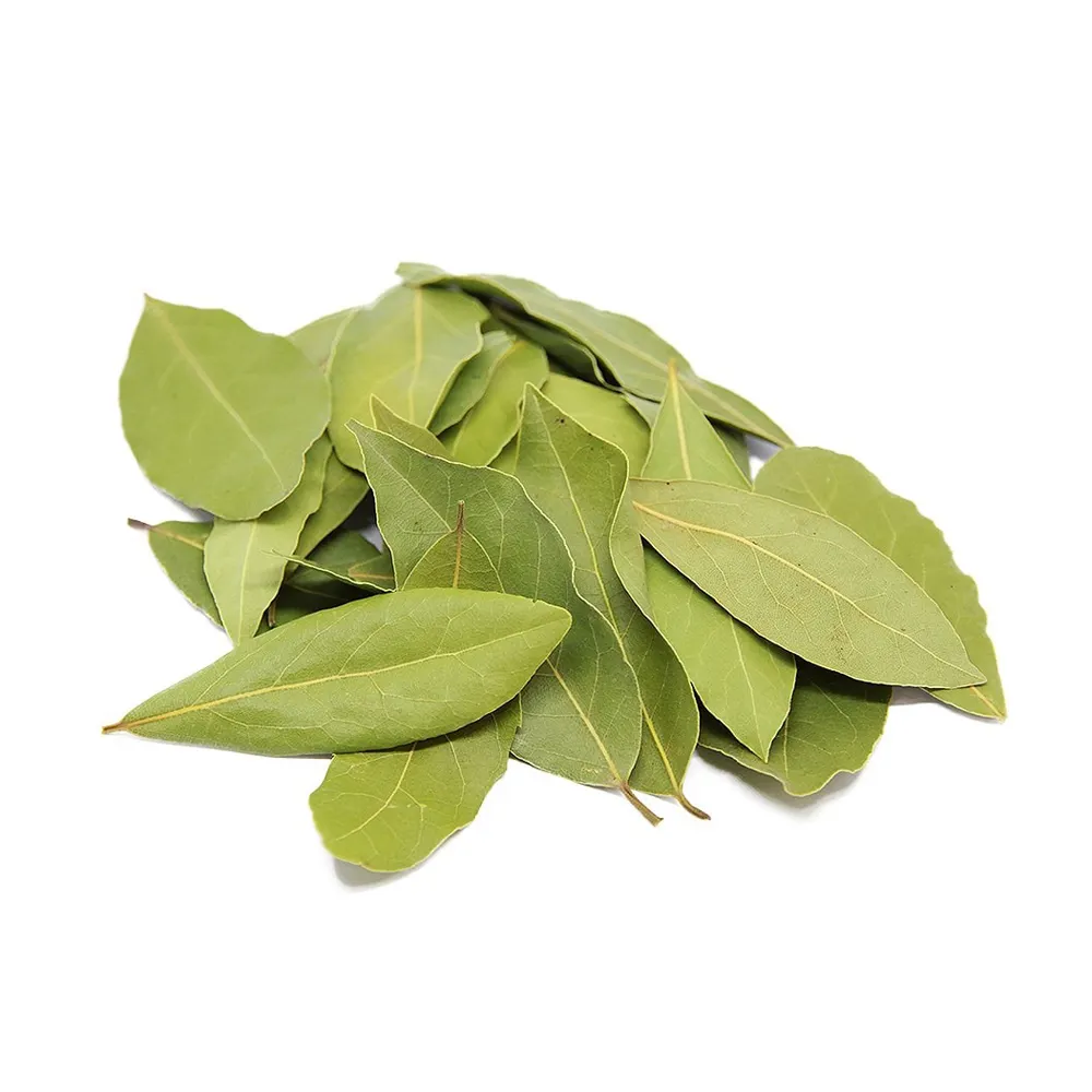Natural new dried whole spices dried bay leaf laurel dried laurel leaves