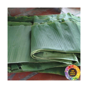 ใบกล้วยสดใบตองสีเขียวห่ออาหารแบบ100% ทนทาน - Product Image 1