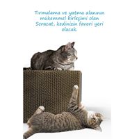Arbre à chat de Noël écologique Ata Home, plusieurs poteaux à gratter, surface antidérapante, montage facile, en carton