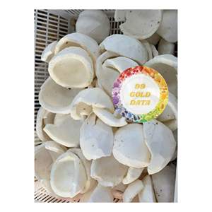 COCO CONGELADO DE VIETNAM PRODUCTO DE GRADO PREMIUM MEJOR OFERTA PARA PEDIDOS AL POR MAYOR Y A GRANEL/COCO FRESCO Y NATURALEZA CONGELADO - Product Image 3