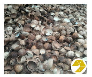 Cáscara de coco crudo Premium para manualidades, la mejor cáscara de coco crudo para carbón con buena oferta a la venta Suministro a granel listo para exportar - Product Image 5