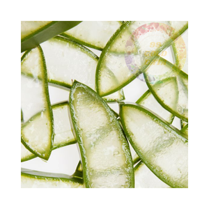 เจลลี่ว่านหางจระเข้ธรรมชาติสำหรับผิวบอบบาง | เจลให้ความชุ่มชื้นที่ไม่ระคายเคืองสำหรับใบหน้าร่างกายและเส้นผม - Product Image 2