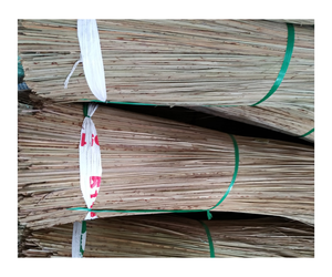 AUTHENTIQUE BÂTON DE BALAI EN NOIX DE COCO VIETNAMIEN/DURABLE & FORTE/FABRIQUÉ AU VIETNAM - Product Image 1