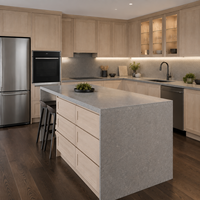 Proveedor OEM de Gabinetes de Cocina Estilo Shaker para Mayoristas, Distribuidores, Constructores y Proyectos Residenciales de Marca Privada