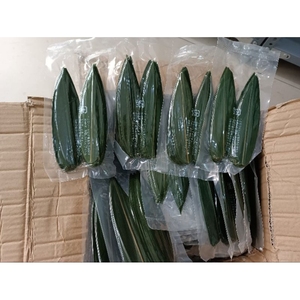 ใบไผ่อบแห้งขนาดใหญ่สำหรับร้านอาหารซูชิญี่ปุ่นขนาด100ซม. แห้งและแช่แข็งเวียดนาม - Product Image 5