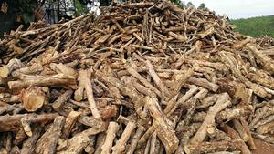 {HOT - DEAL} -CARBÓN DE ALTA CALIDAD CARBÓN DE CAFÉ NATUARAL DE VIETNAM PARA BARBACOA/DISPONIBLE EN STOCK - Product Image 4