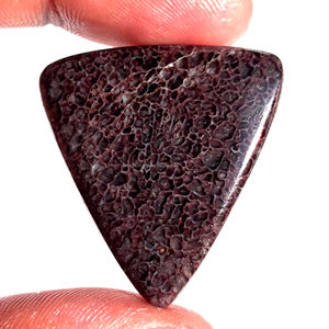 Prix de gros Os de dinosaure naturel Cabochon en vrac Pierres précieuses Mix Shape Toutes les tailles Énergie de guérison Pierres semi-précieuses dégringolées - Product Image 2