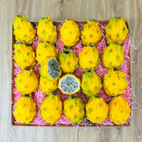 FRUIT DE DRAGON JAUNE DE HAUTE QUALITÉ/BON MARCHÉ