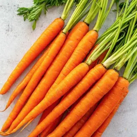 Verdura di carota fresca per la vendita