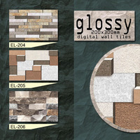 Carreaux muraux imprimés numériquement, design décoratif, modulaires, pour la maison, 200x300 mm, carreaux muraux en céramique, motif d'élévation, finition des carreaux muraux