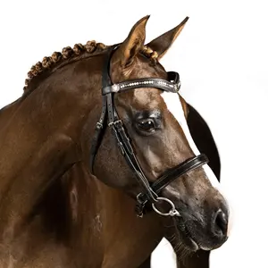 บังเหียนขี่ม้าหนังอินเดียแท้ดีไซน์สูง - Product Image 5