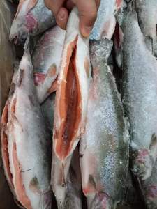 Trucha Noruega eviscerada - Product Image 2