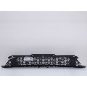 Parrilla Delantera MINI Cooper Serie 3 51117255125 (13>) - Product Image 5