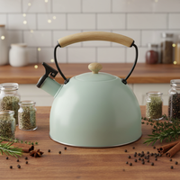 Haute qualité 3L en acier inoxydable eau chaude théière cuisine maison cuiseur à eau avec sifflet bouilloire et peinture de couleur pour café