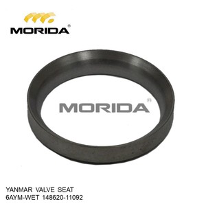 Siège de soupape 6AYM 12AYM INTAKT pour YANMAR 14862011071 - Product Image 2
