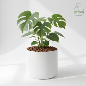 Đất sét nhẹ mở rộng 50 L 8-20mm cho thiết bị tưới tiêu và thủy canh - Product Image 3