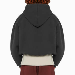 Offre Spéciale automne couleur unie hommes à manches longues fermeture éclair Hoodies avec des couleurs et des tailles personnalisées - Product Image 2