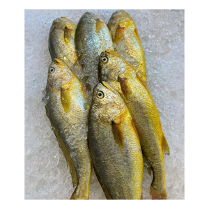Frozen Yuehai marque croaker jaune vente en gros approvisionnement en vrac qualité abordable - Product Image 6